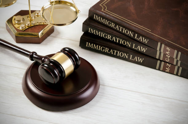 immigration-law-book-with-judges