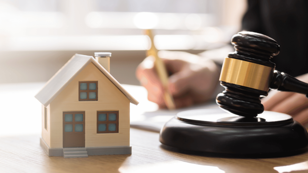 house-law-1024x576